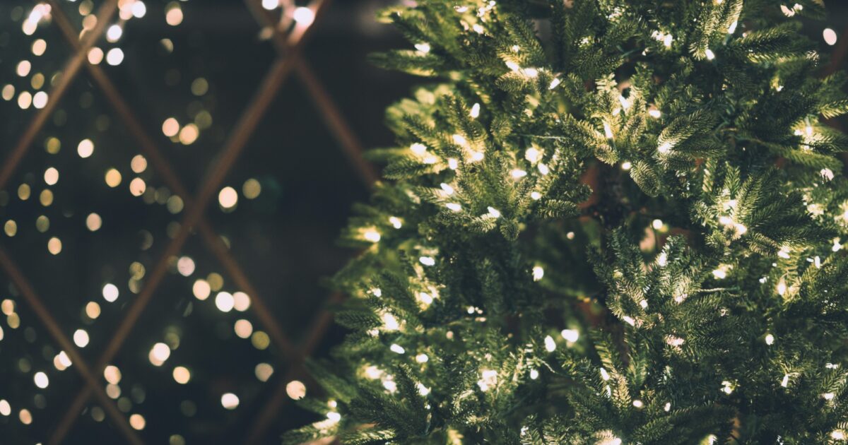 Darkness, Disruption, and Disorientation Why Christmas Lights are so
